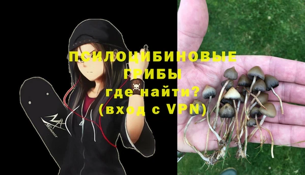 спиды Алзамай