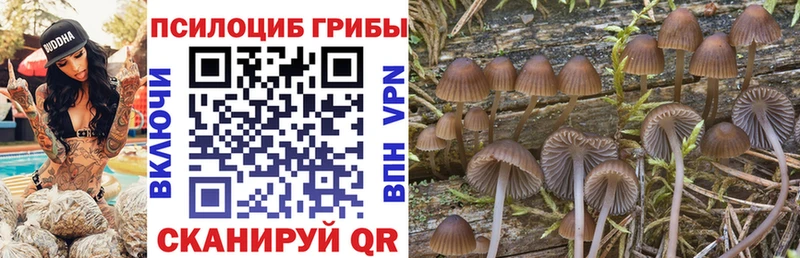 OMG зеркало  Усть-Лабинск  это как зайти  Псилоцибиновые грибы прущие грибы 