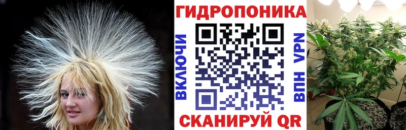 Конопля LSD WEED  Усть-Лабинск 